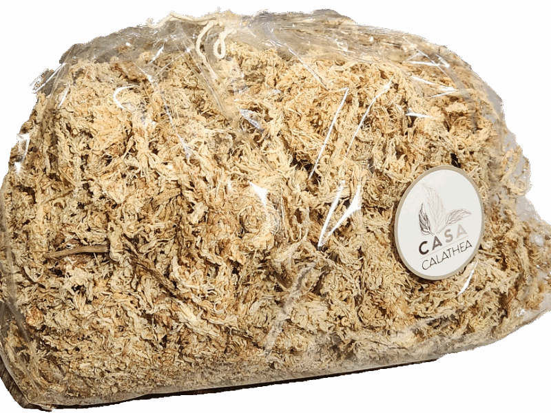 Musgo Spagnum 80 grs