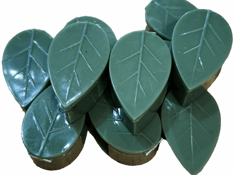 Guías clip adhesivas para pantas trepadoras