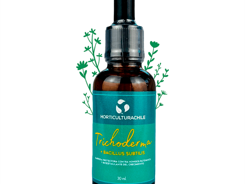 Trichodermas Horticultura Chile